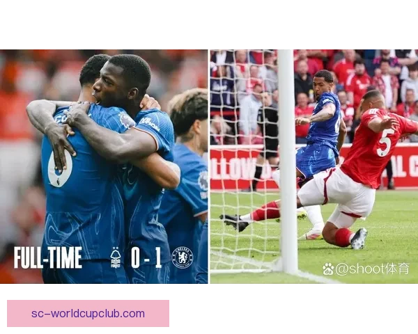 英超赛季最佳进球几乎锁定引发球迷热议与专家盛赞全英格兰关注焦点